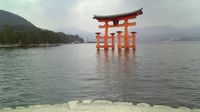 厳島神社鳥居